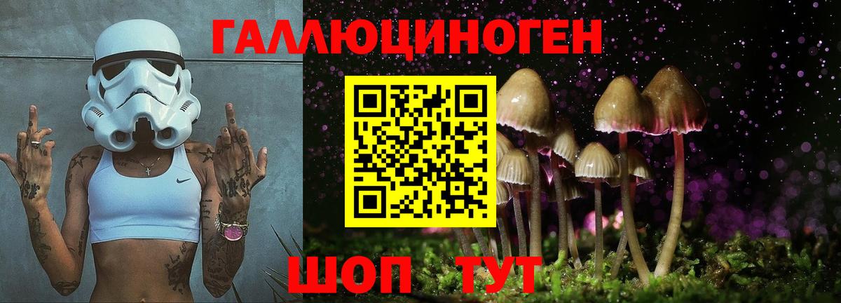 Псилоцибиновые грибы Cubensis  Вход с VPN  Усолье-Сибирское 